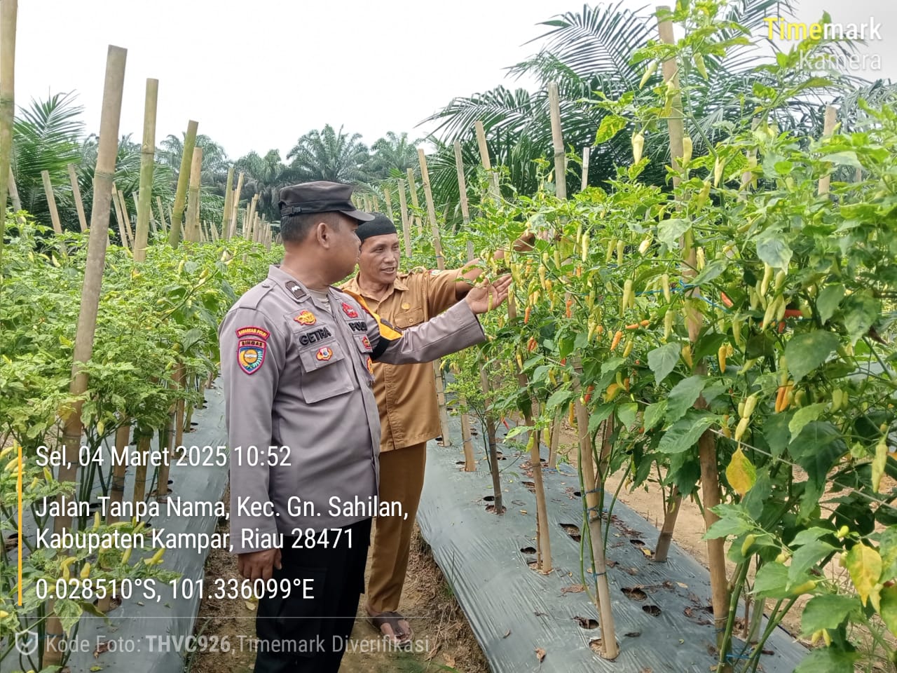 Bhabinkamtibmas Polsek Kampar Kiri Dorong Kemandirian Pangan