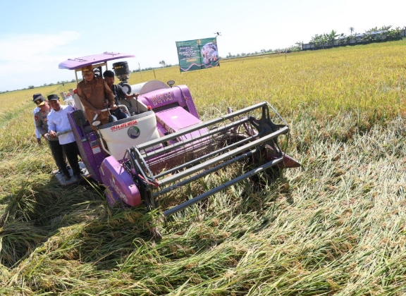 Andra Soni Pastikan Harga Gabah Kering Rp.6500/Kg Pada Panen Raya
