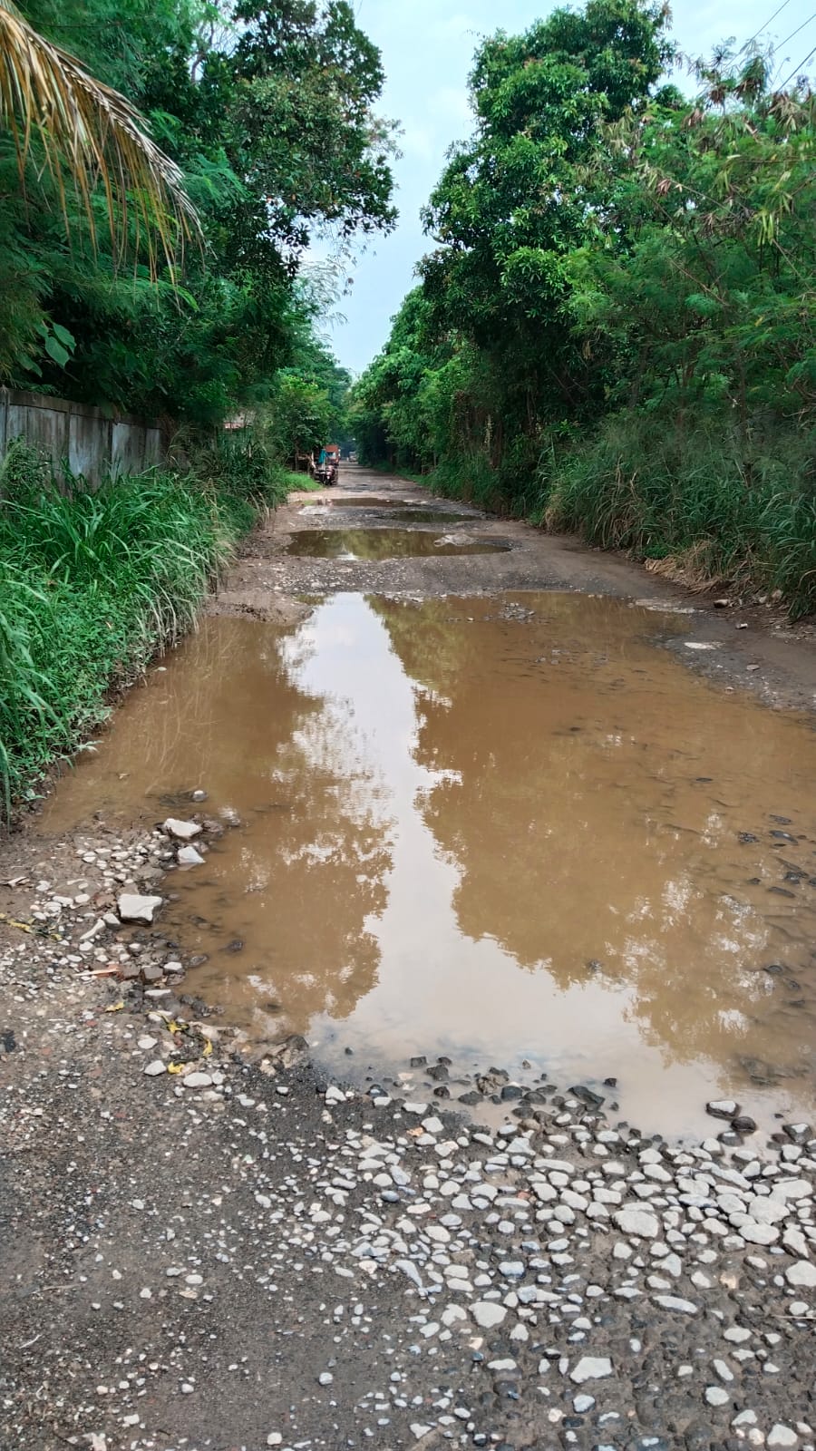 Jalan Kalisabi Kelurahan Uwung Jaya Rusak Parah, Warga dan Sopir Minta Penanganan Serius dari Pemkot Tangerang